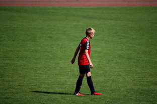 爱游戏体育娱乐-NBA球员训练方法创新，nba球员训练视频,篮球技术